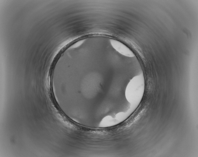 X0000110991125200907171746
