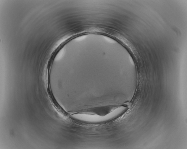 X0000110991127200907171746