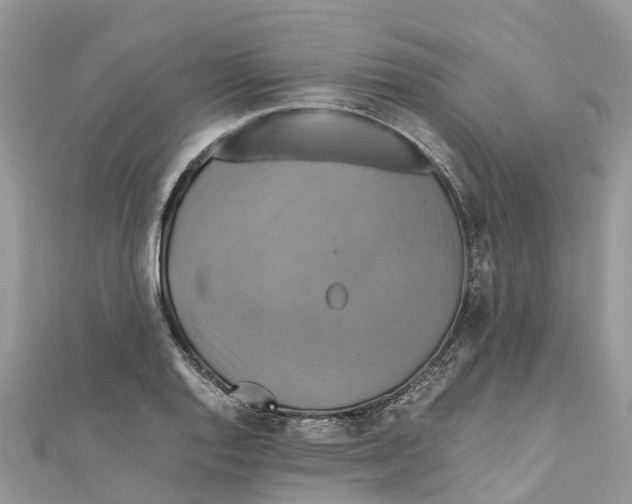 X0000110991128200907171746