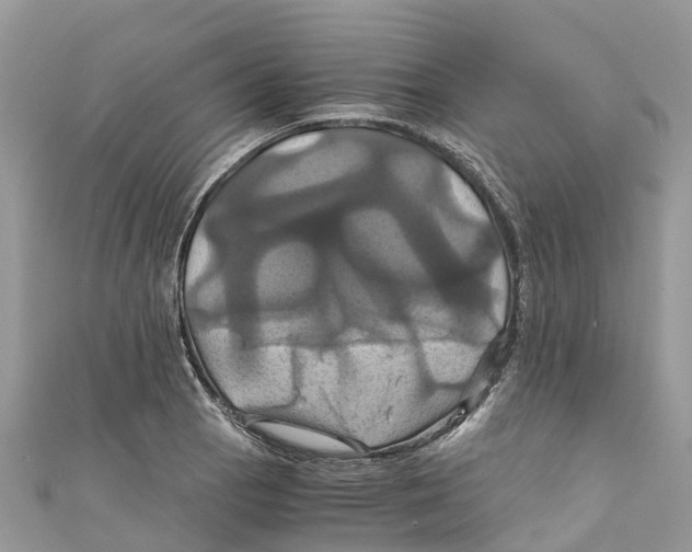 X0000110991129200907171746