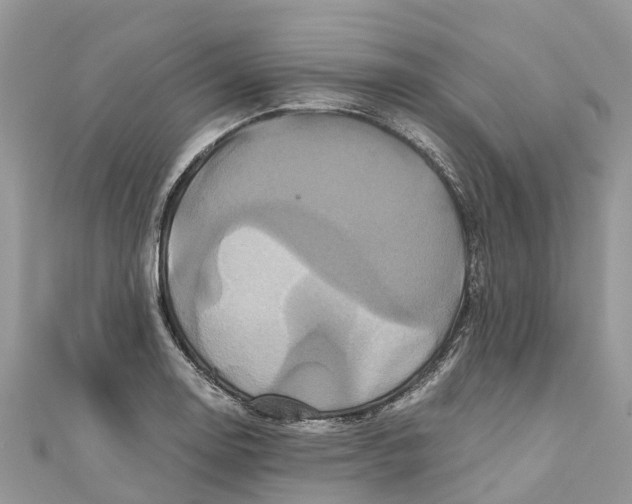 X0000110991130200907171746
