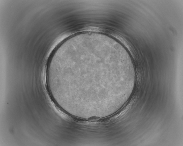 X0000110991131200907171746