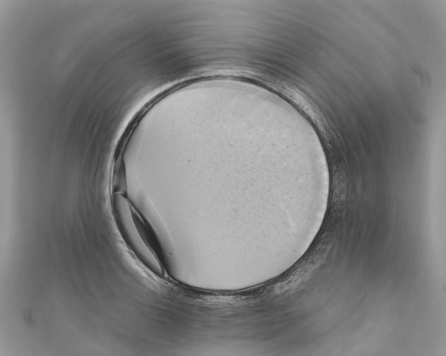 X0000110991132200907171746