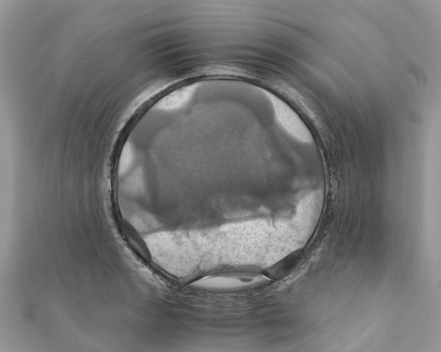 X0000110991133200907171747