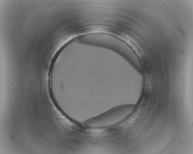 X0000110991134200907171747