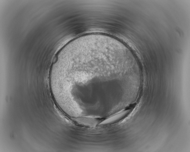 X0000110991137200907171747