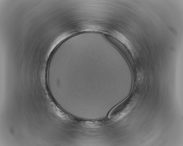 X0000110991138200907171747