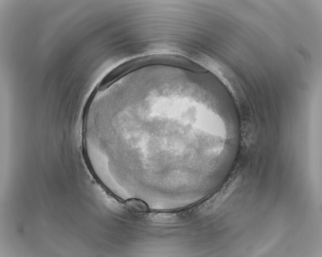 X0000110991140200907171747