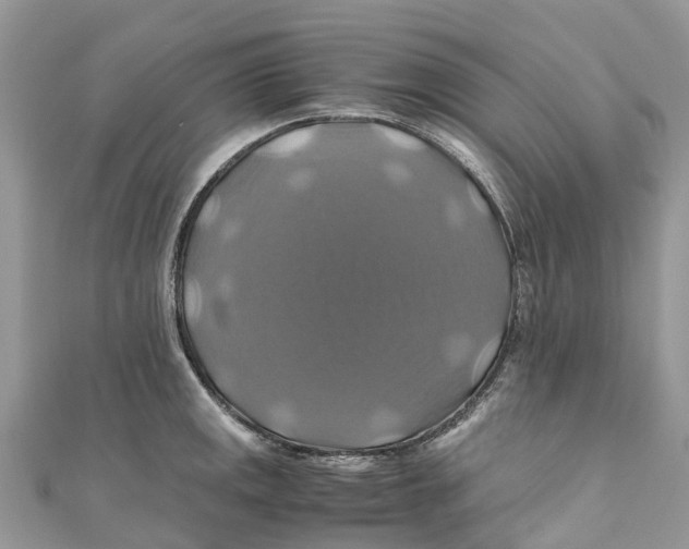 X0000110991141200907171747