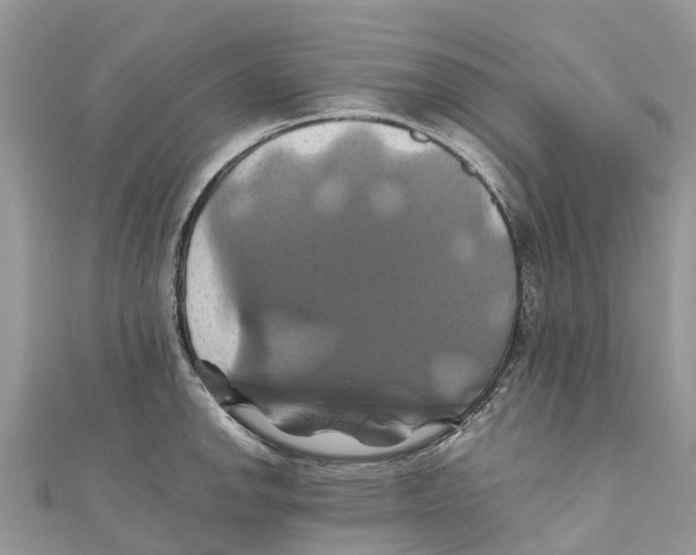 X0000110991142200907171747