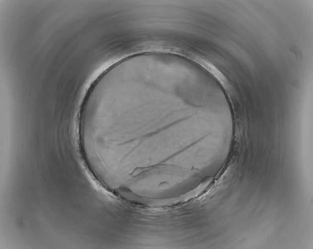 X0000110991144200907171747