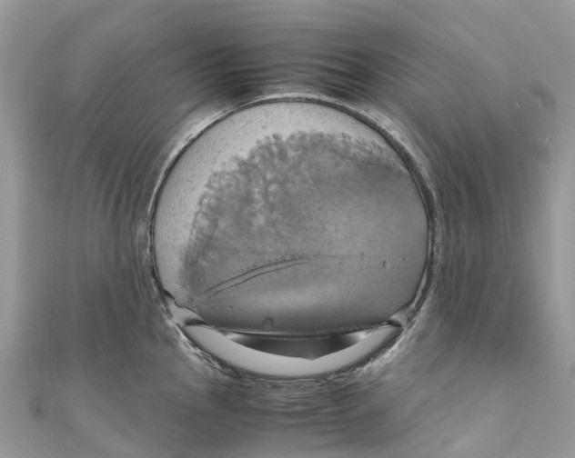 X0000110991145200907171747