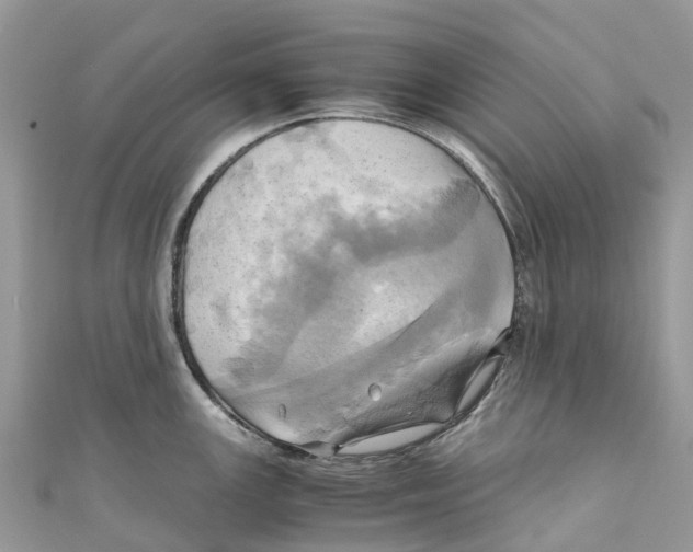 X0000110991147200907171747