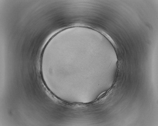 X0000110991148200907171747
