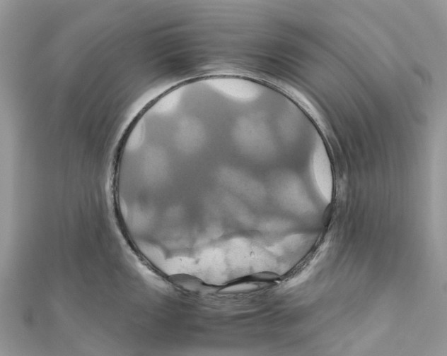 X0000110991149200907171747