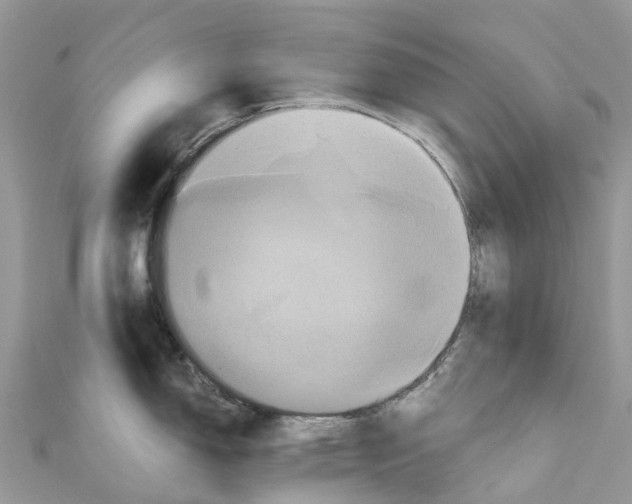 X0000110991150200907171747