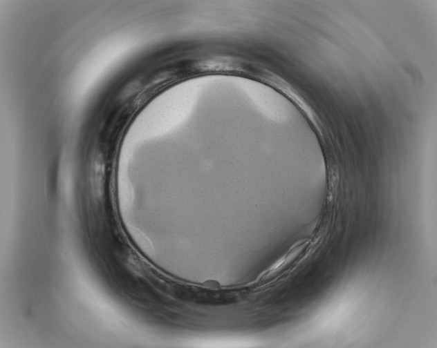 X0000110991151200907171747