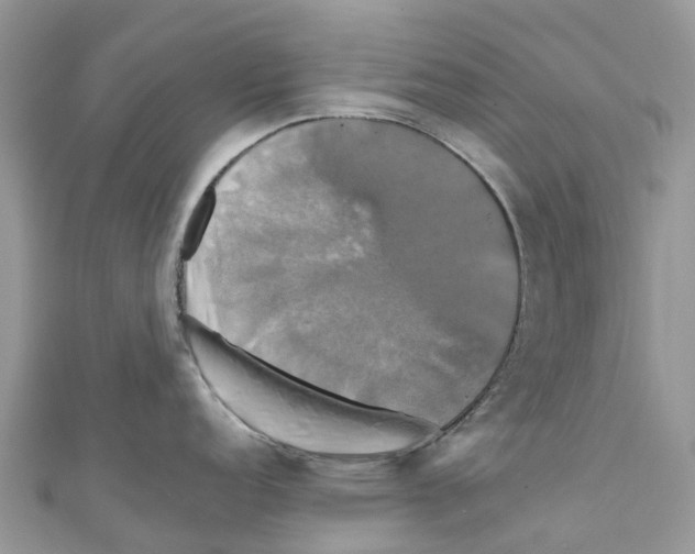 X0000110991152200907171747
