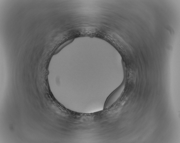 X0000110991153200907171746