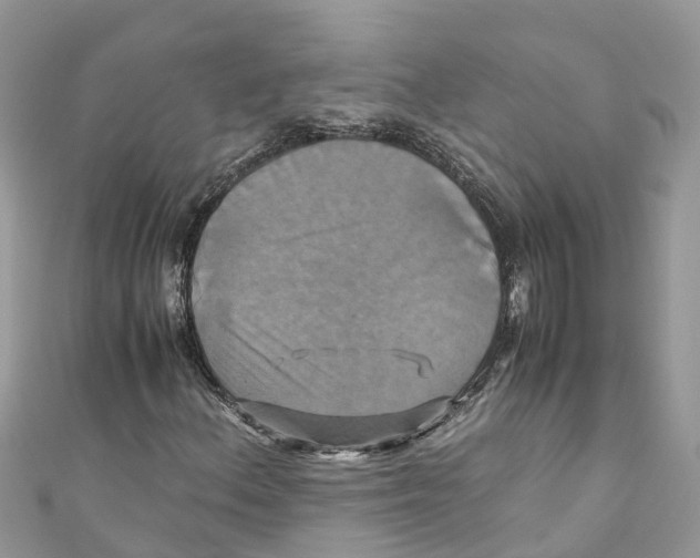 X0000110991156200907171746