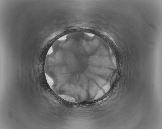 X0000110991159200907171746