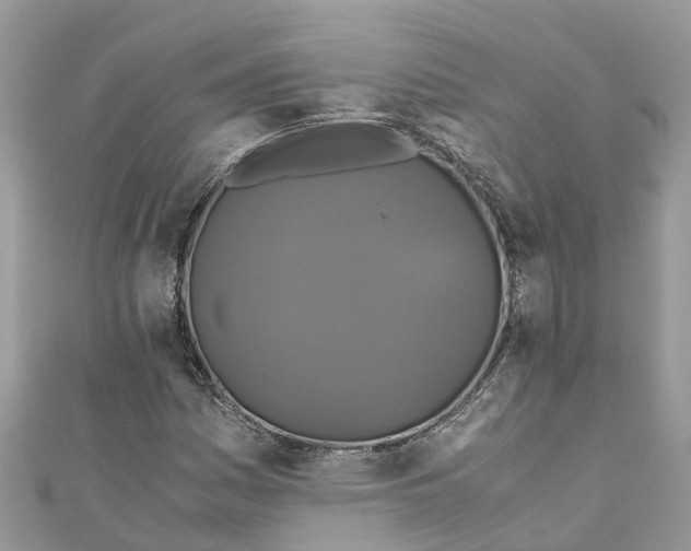 X0000110991161200907171746