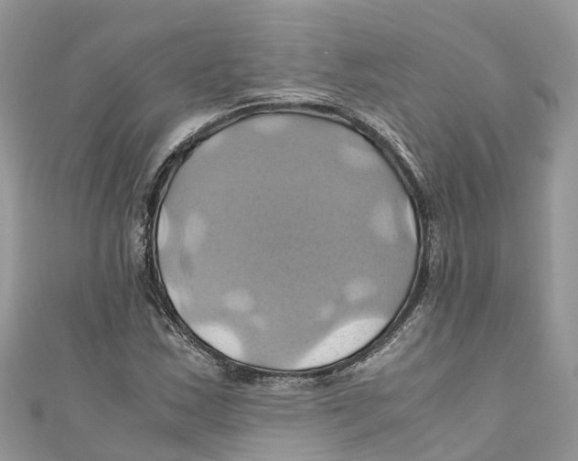 X0000110991163200907171746