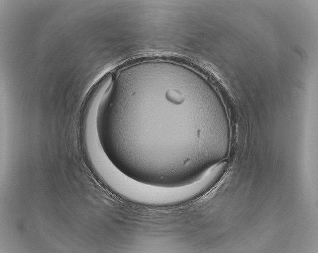 X0000110991165200907171746