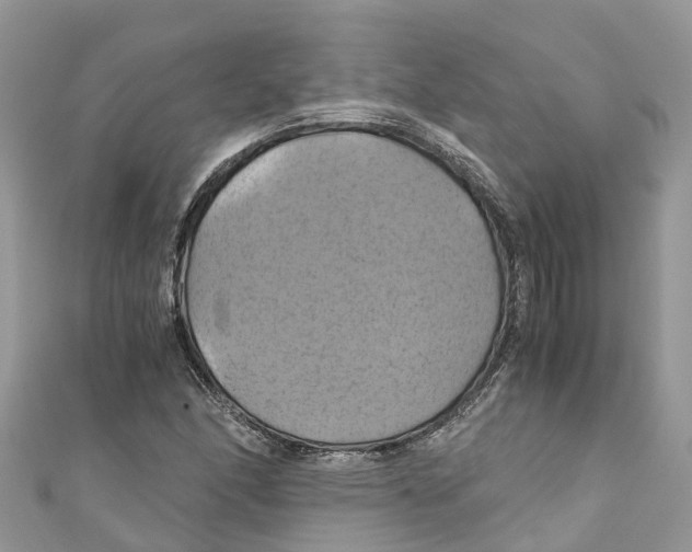 X0000110991166200907171746