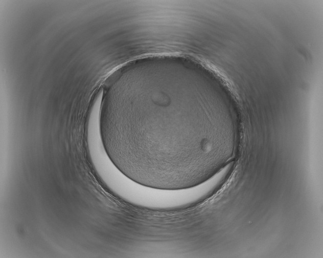 X0000110991169200907171746