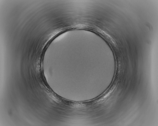 X0000110991170200907171746