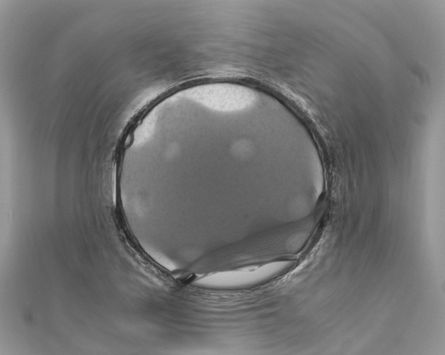X0000110991171200907171746
