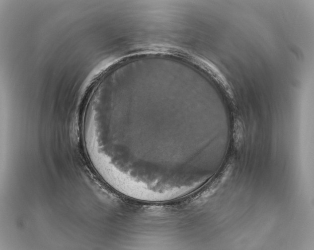 X0000110991172200907171746