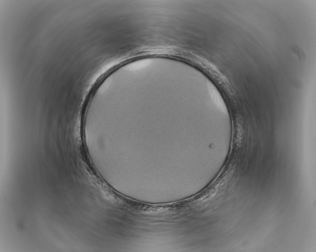 X0000110991174200907171746