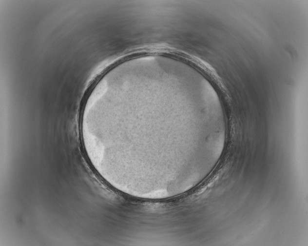 X0000110991176200907171746