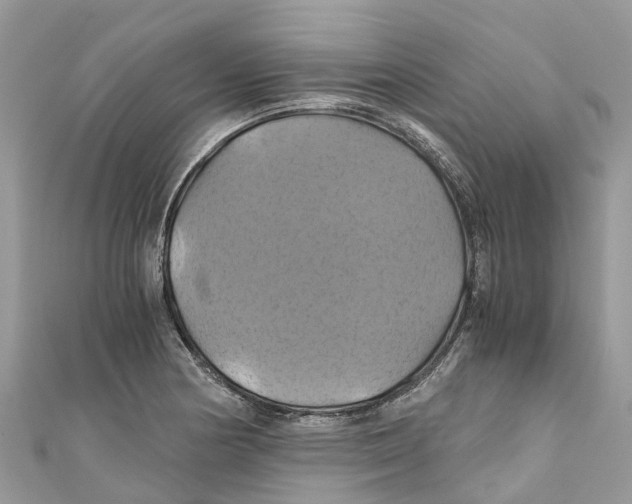 X0000110991178200907171745