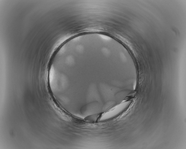 X0000110991179200907171745