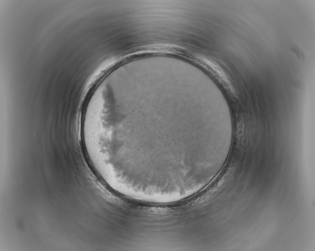 X0000110991180200907171745