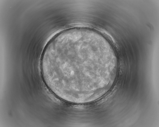 X0000110991182200907171745