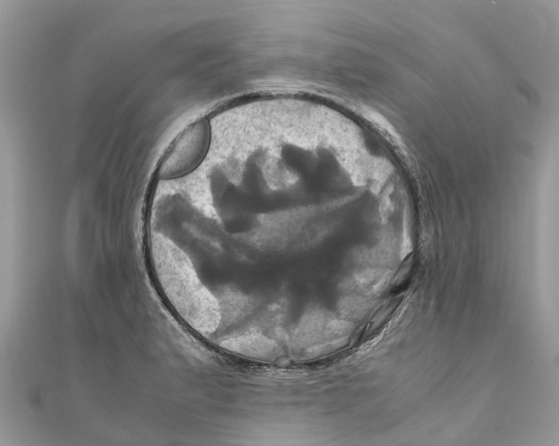 X0000110991183200907171745