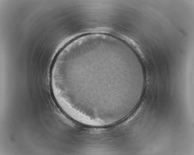 X0000110991184200907171745