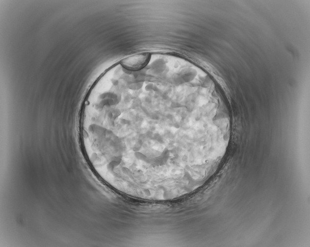 X0000110991187200907171745