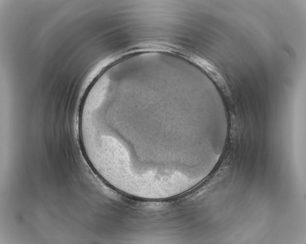 X0000110991188200907171745