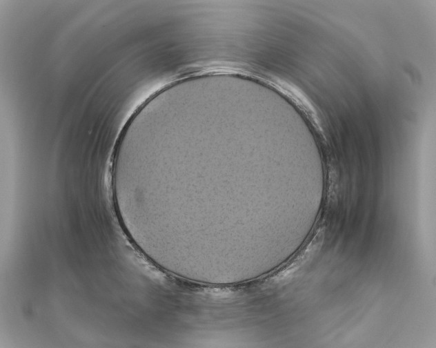X0000110991190200907171745