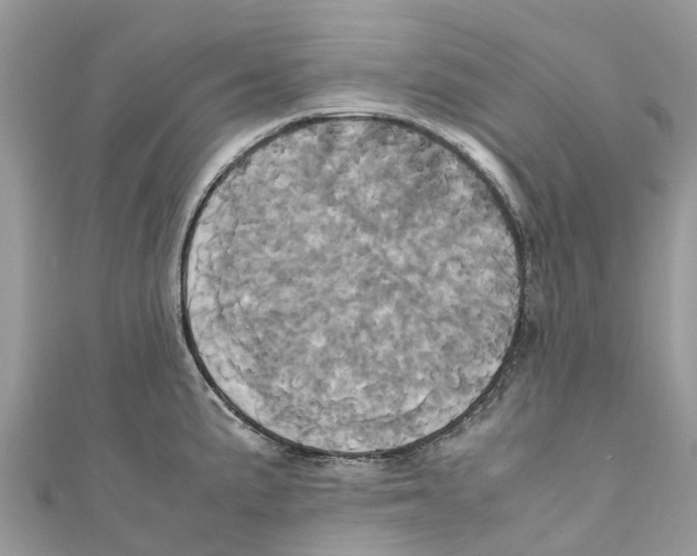 X0000110991191200907171745