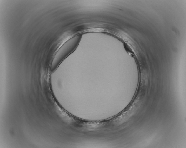 X0000110991193200907171745