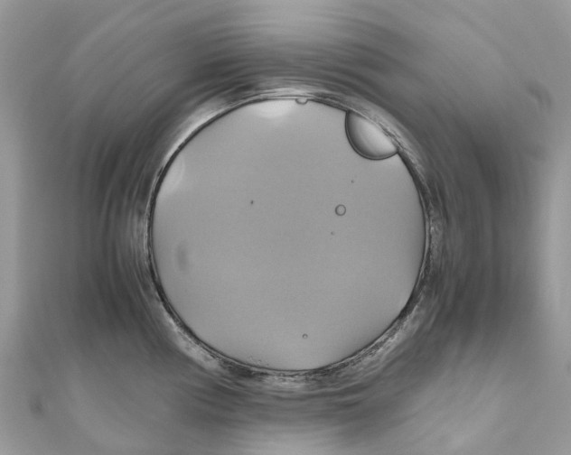 X0000110991194200907171745