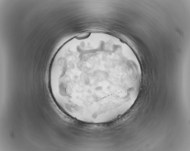 X0000110991195200907171745