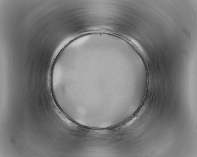 X0000110991196200907171745