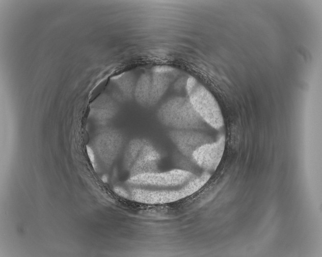 X0000110991201200907171745